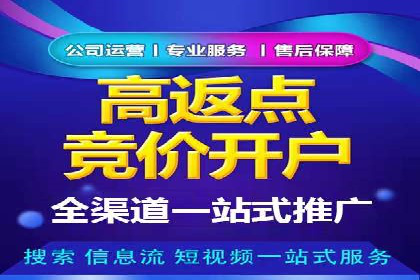 深度解析：百度竞价代理的优化策略与成功案例